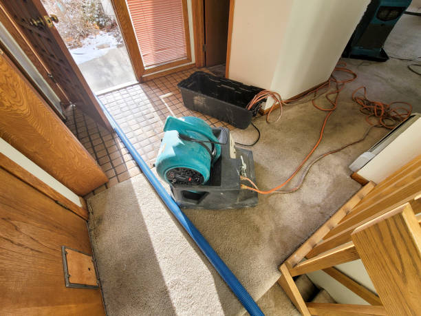 Best Water damage cleanup near me  in Bay Park, NY