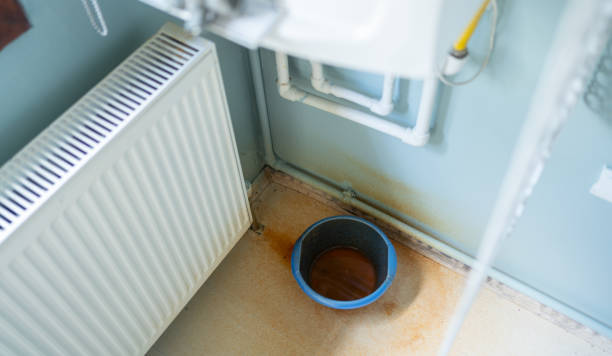 Best Mold removal after water damage  in Bay Park, NY