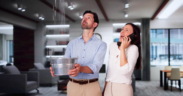 Best Mold removal after water damage  in Bay Park, NY